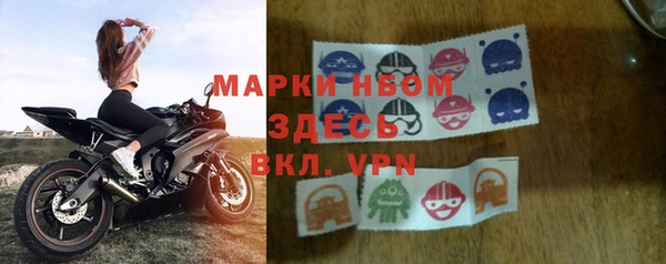 прущий лед Бородино