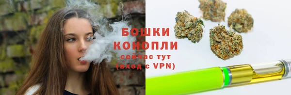 прущий лед Бородино