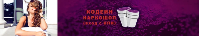 прущий лед Бородино