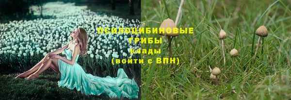 бошки Бугульма