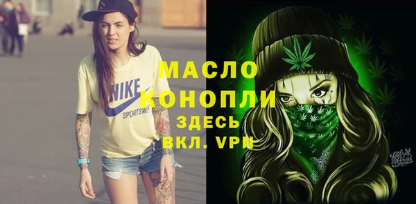 прущий лед Бородино