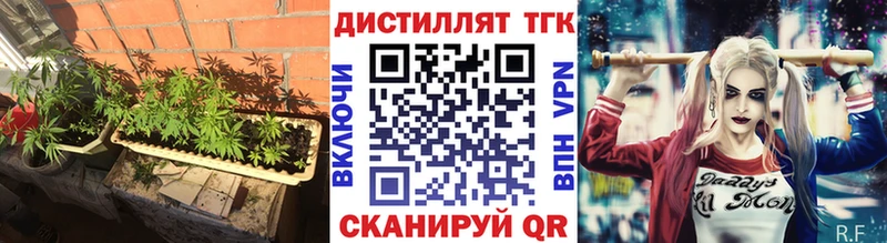 ТГК концентрат  Купить закладки  Великие Луки 